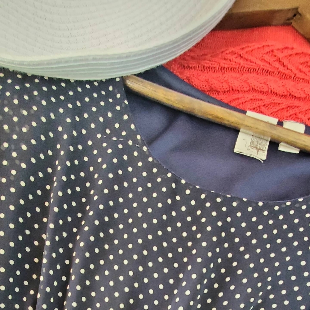 Francesca's Collections Dress